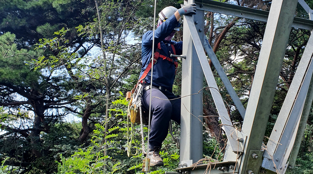 lorem ipsum dolor sit